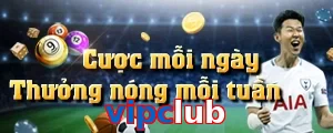 vipclub